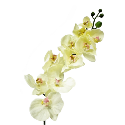 Изображение товара Орхидея фаленопсис Конэко-О 77221 102 см