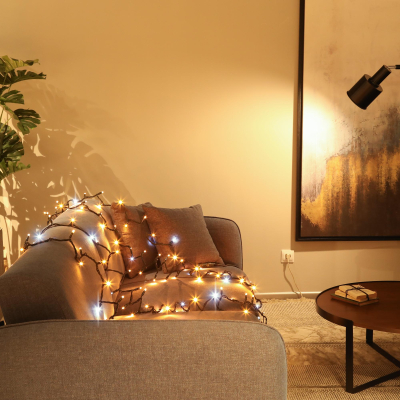 Изображение товара Уличная гирлянда Lotti 120 maxiLEDs 1,5м со стартовым шнуром для улиц и интерьеров