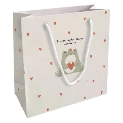 Изображение товара Подарочный бумажный пакет Be Smart 20х20 см Коллекция Forest с лягушкой Изображение товара Подарочный бумажный пакет Be Smart 20х20 см Коллекция Forest с лягушкой