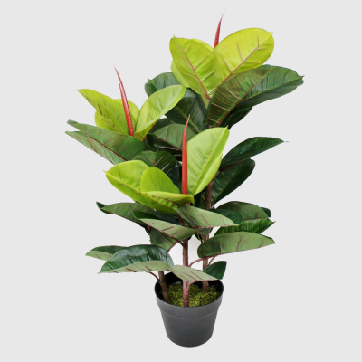 Изображение товара Куст фикуса Конэко-О искусственный, зеленый 80 см, кашпо 14х18х12 см, 3 куста