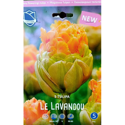 Изображение товара Луковицы тюльпанов Le Lavandou 5 шт для яркого цветения весной