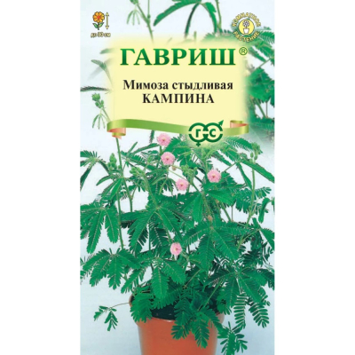 Изображение товара Семена Гавриш Мимоза стыдливая Кампинаx 0.006 г