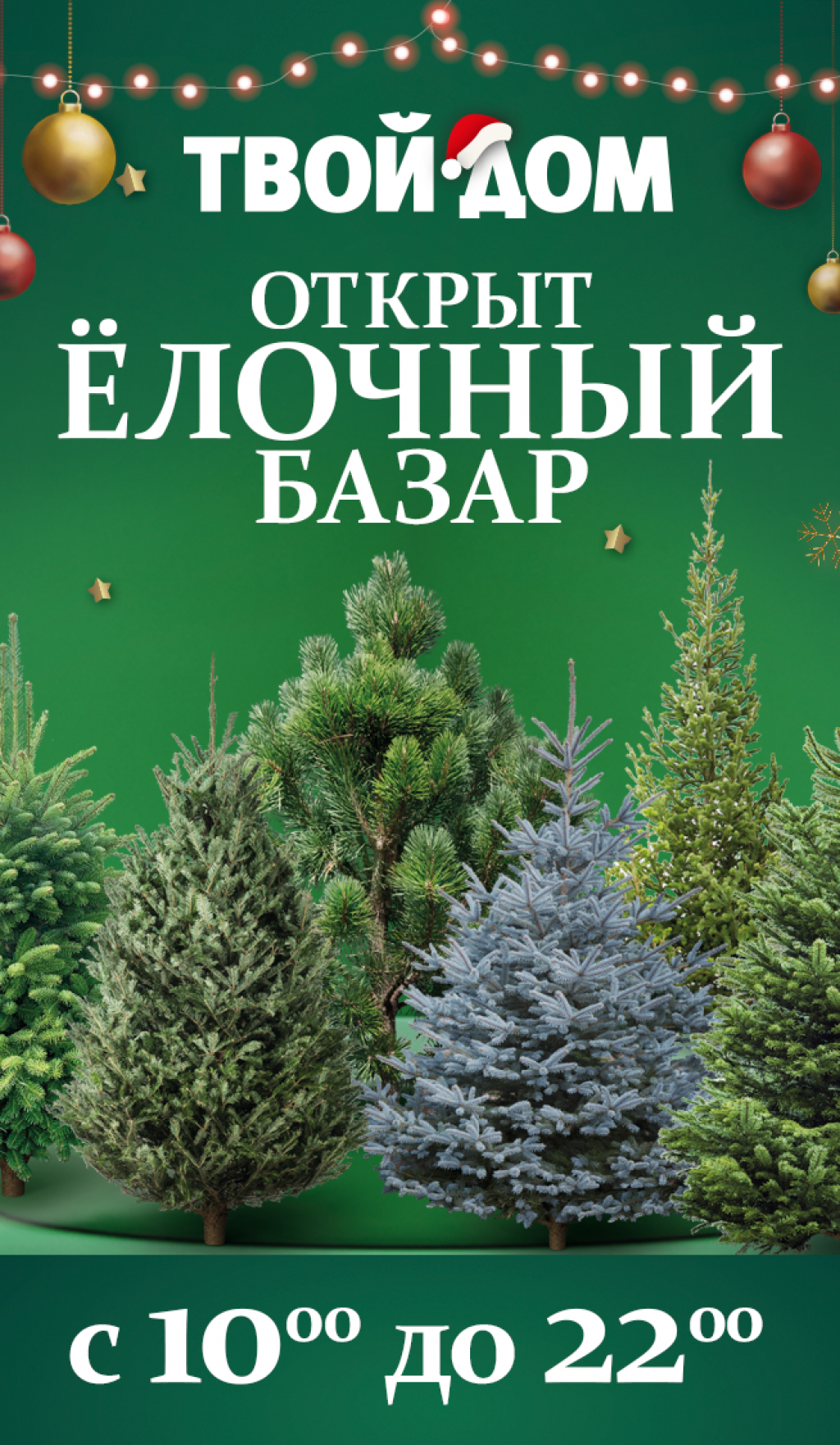 Ёлочный базар!