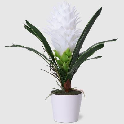 Изображение товара Искусственный цветок гузмания белый 60 см Colorful для интерьера дома и офиса