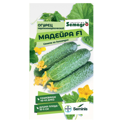 Изображение товара Семена огурца партенокарпического гибрида Мадейра F1 109 рублей Изображение товара Семена огурца партенокарпического гибрида Мадейра F1 109 рублей