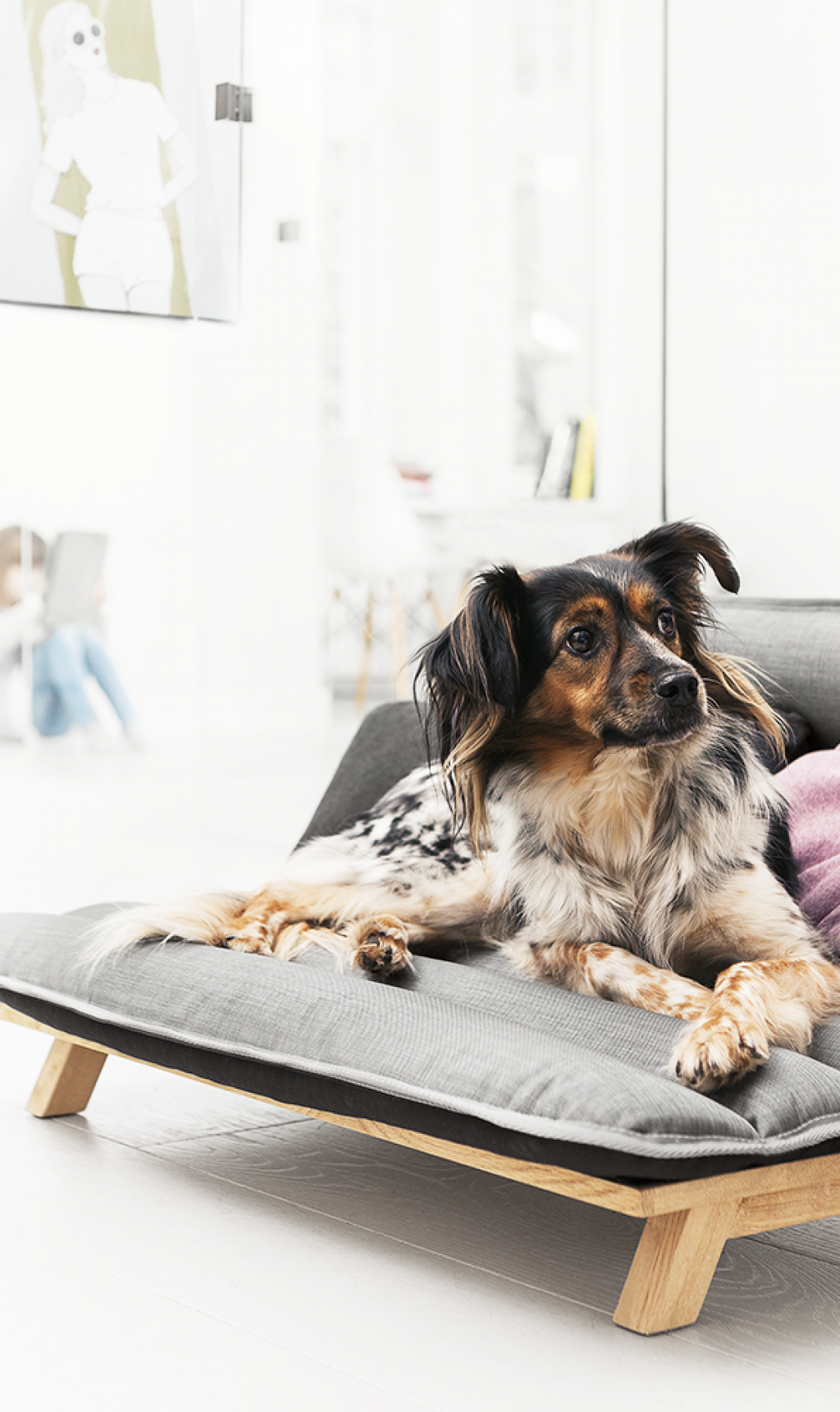 Скидка 20% на зоотовары!