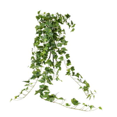 Изображение товара Искусственный ампельный английский плющ Конэко-О 129 см для интерьера