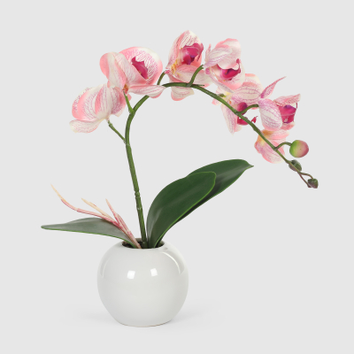 Изображение товара Орхидея в белом кашпо Конэко-О 556_10163185 40 см