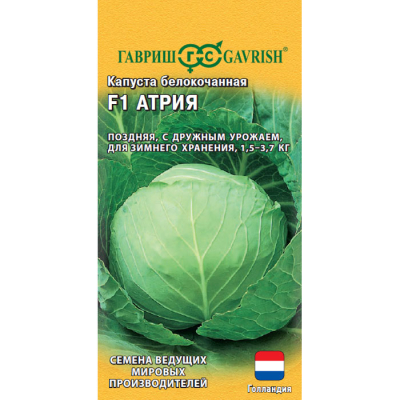 Изображение товара Семена капусты белокочанной Атрия F1 10 шт. для квашения и хранения Изображение товара Семена капусты белокочанной Атрия F1 10 шт. для квашения и хранения