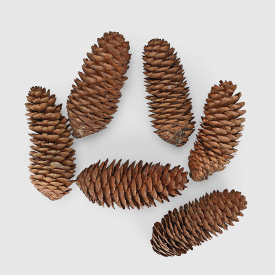 Изображение товара Шишки новогодние Ad trend NY декор 7,5 см, 6 шт