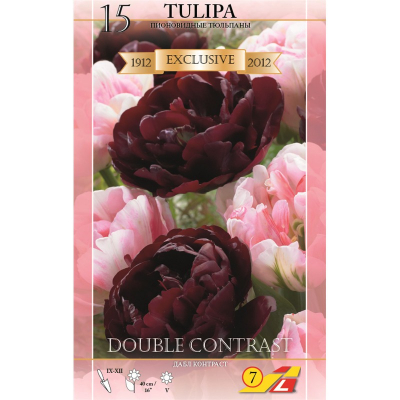 Изображение товара Тюльпан Lefeber Double contrast 15 шт
