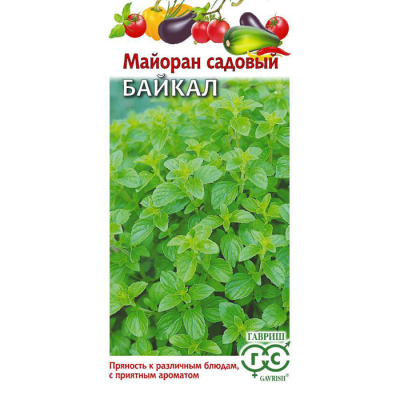 Изображение товара Семена Гавриш Майоран садовый Байкал 0,1 г