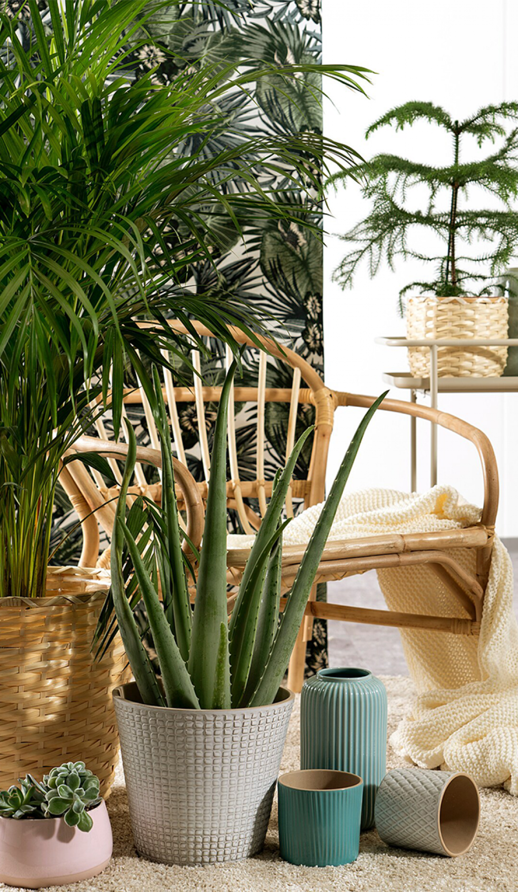 Скидки до 40% на кашпо Hoang Pottery и Scheurich!