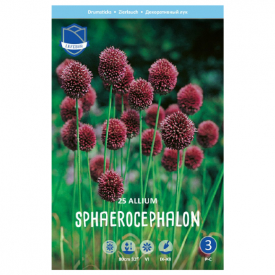 Изображение товара Лук декоративный Lefeber Sphaerocephalon 25 шт