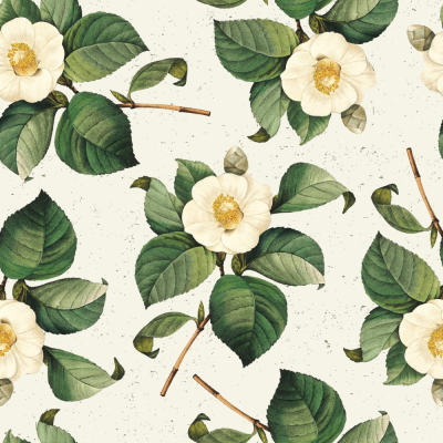 Изображение товара Бумага для подарков Be Smart 70х100 см, Коллекция "Flora", камелия