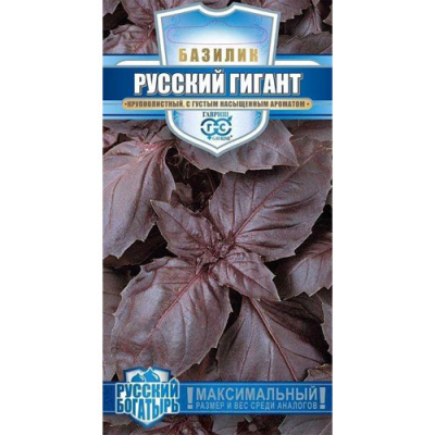 Изображение товара Базилик Гавриш Русский гигант, фиолетовый 0,1 г серия Русский богатырь Изображение товара Базилик Гавриш Русский гигант, фиолетовый 0,1 г серия Русский богатырь