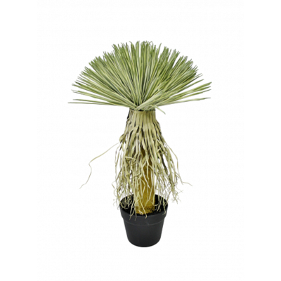 Изображение товара Искусственная драцена Конэко-О маргината в кашпо 60 см для интерьера