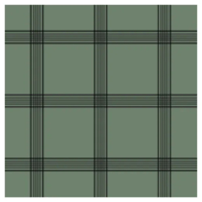 Изображение товара Подарочная бумага Be Smart Tweed 70х100 см зеленая клетка