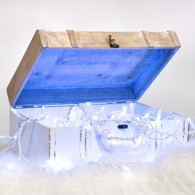 Изображение товара Электрогирлянда Reason для улиц 50 LED холодный синий 300 см IP44