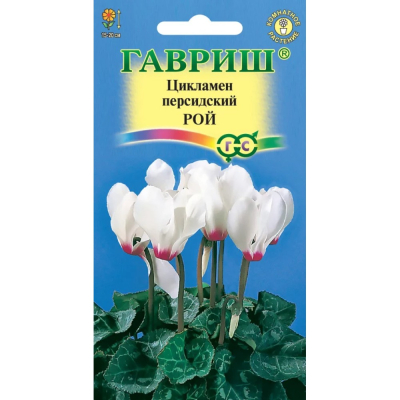 Изображение товара Семена Цикламен Рой персидский 3 шт Семена Гавриш для выращивания ярких цветов