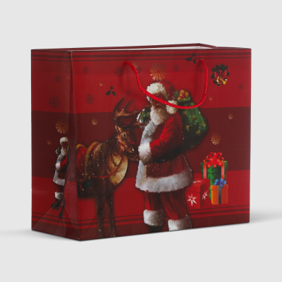 Изображение товара Подарочный пакет Due Esse Christmas 3D 26x12x31 см красный праздничный