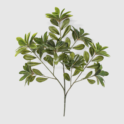 Изображение товара Ветка Конэко-О лучелистной шеффлеры 43 см