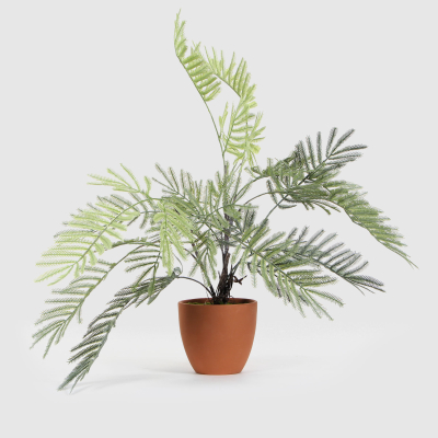 Изображение товара Папоротник Конэко-О в коричневом кашпо 45 см