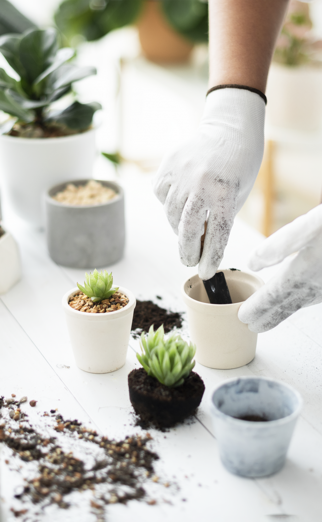 Всё для посадки и ухода за растениями!