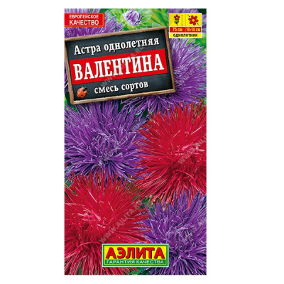 Изображение товара Астра "Валентина" Аэлита