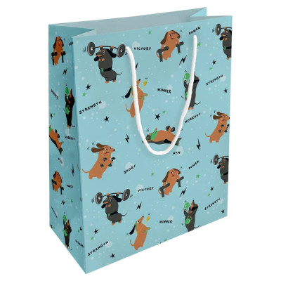 Изображение товара Пакет подарочный Be Smart Hobby голубой 25х32 см Изображение товара Пакет подарочный Be Smart Hobby голубой 25х32 см