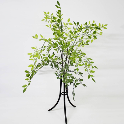 Изображение товара Искусственный рускус Конэко-О KR_10135, 60 см, зелёный, долговечный