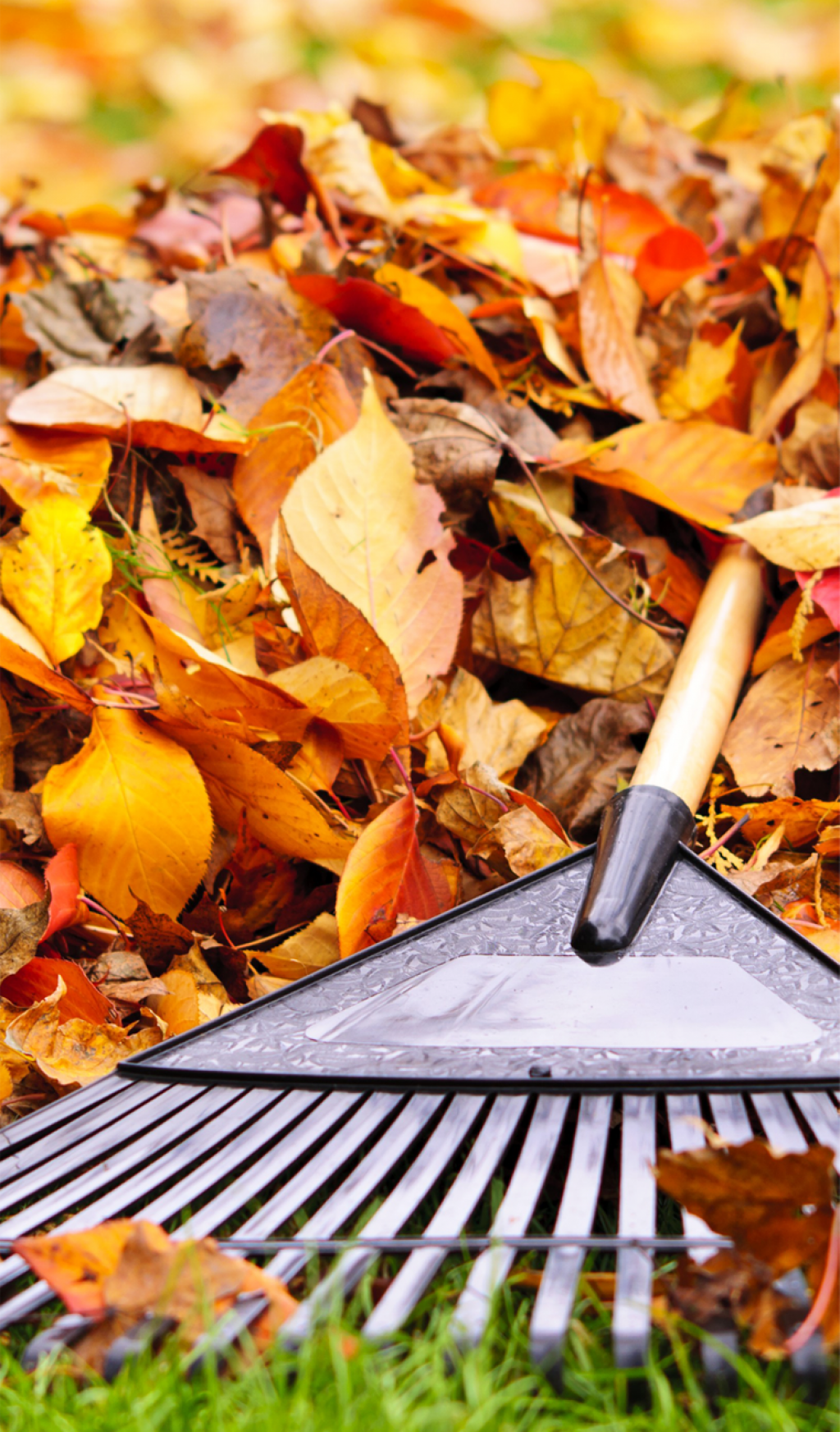 Скидки на садовый инвентарь!