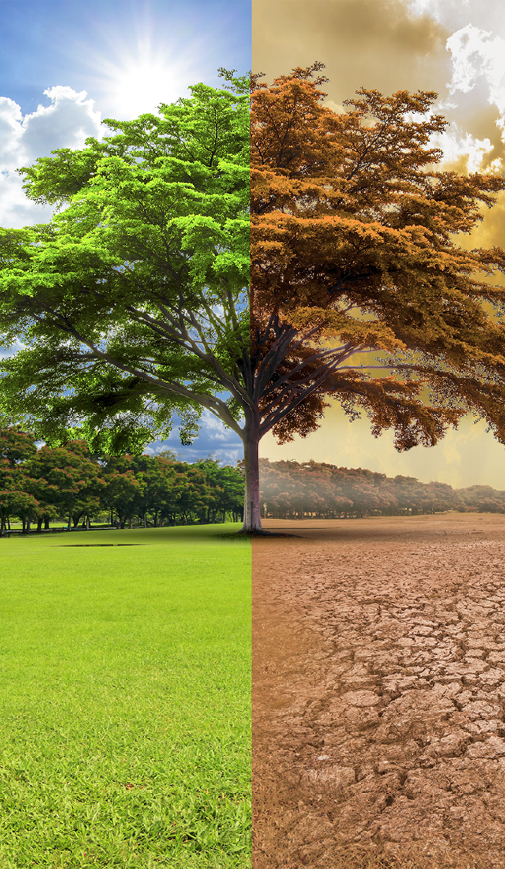 15 мая - Международный день климата!