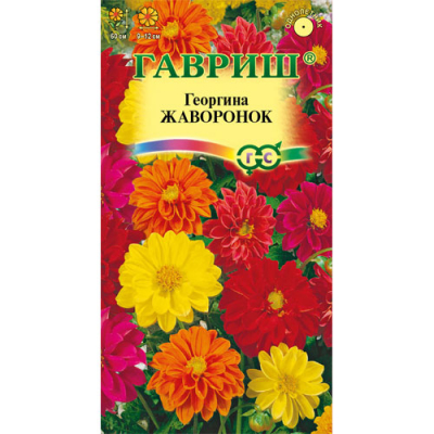 Изображение товара Георгина Гавриш Жаворонок, смесь 0,3 г