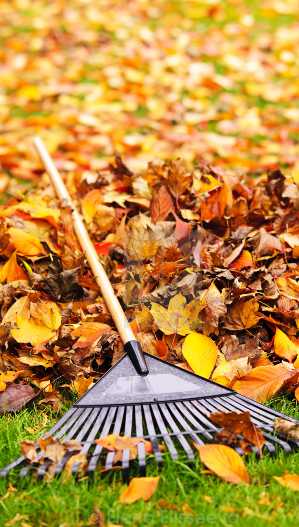 Уход за садом осенью!