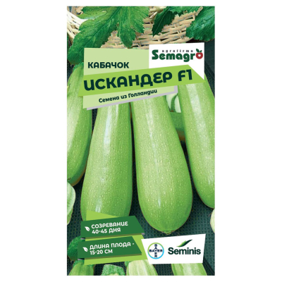 Изображение товара Семена кабачка Искандер F1 Seminis - ранний и урожайный сорт для теплиц и открытого грунта Изображение товара Семена кабачка Искандер F1 Seminis - ранний и урожайный сорт для теплиц и открытого грунта
