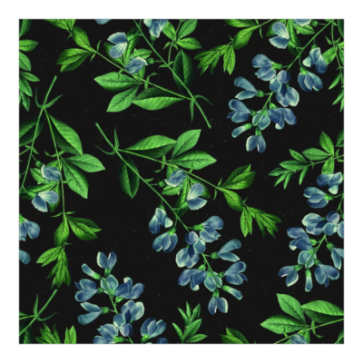 Изображение товара Бумага для подарков Be Smart Flora 70х100 см, черный, зеленый, голубой