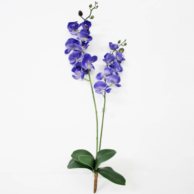 Изображение товара Орхидея фаленопсис с листьями Конэко-О KR_800 90 см