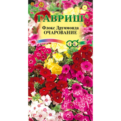 Изображение товара Семена Гавриш Флокс Очарование, Друммонда, смесь 0,05 г DH Изображение товара Семена Гавриш Флокс Очарование, Друммонда, смесь 0,05 г DH