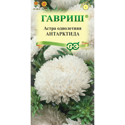 Изображение товара Семена Гавриш Астра Антарктида, однолетняя (пионовидная белая) 0,3 г