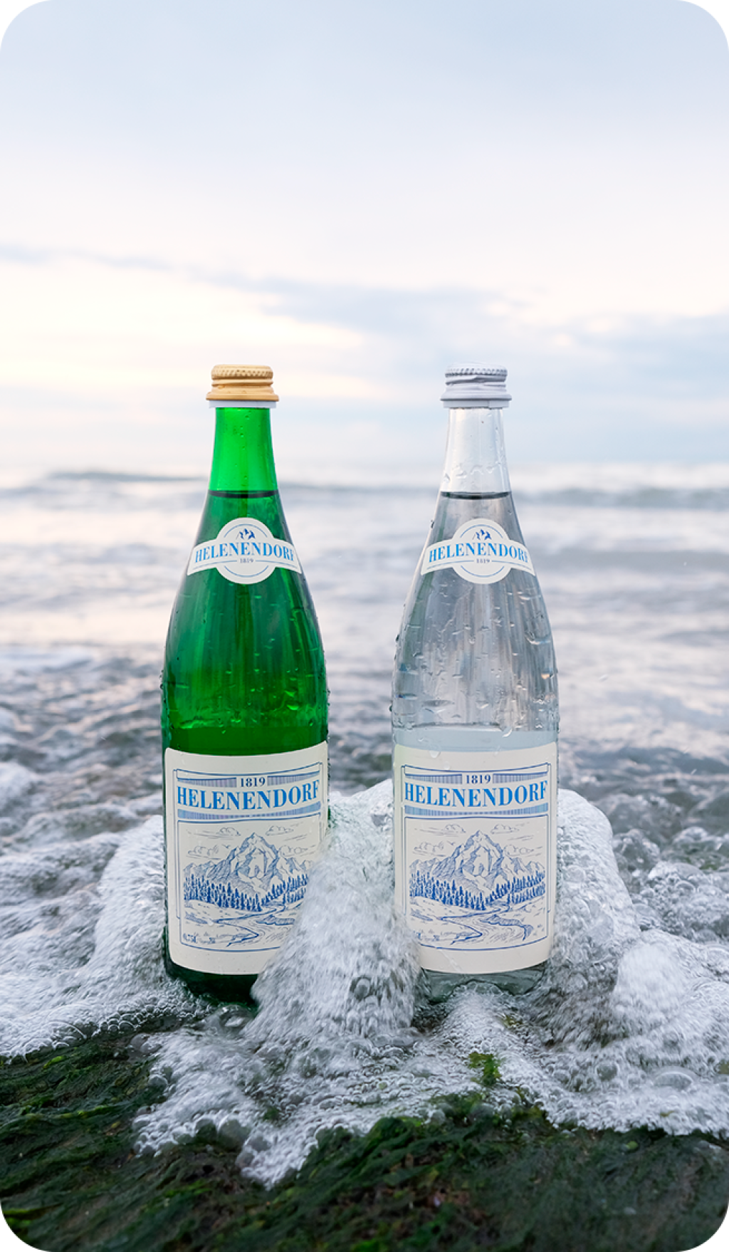 Пить или не пить? 