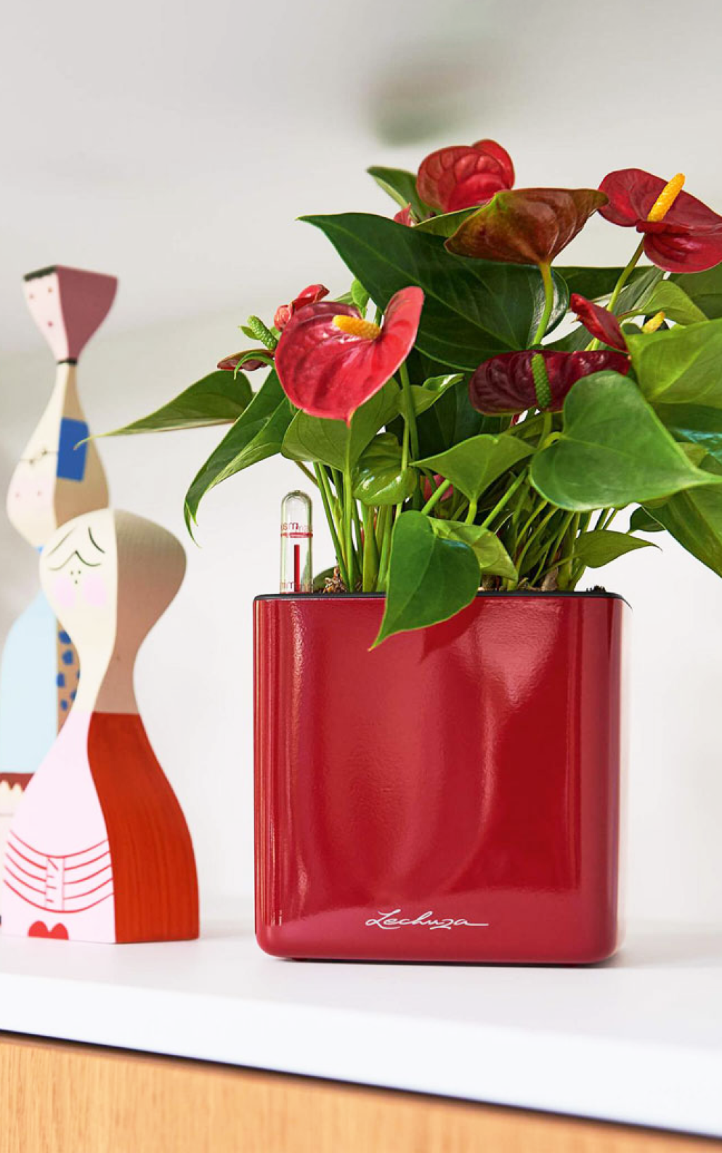 Скидка 35% на кашпо Lechuza!