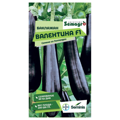 Изображение товара Семена баклажана Валентина F1 Высокоурожайный гибрид из Нидерландов