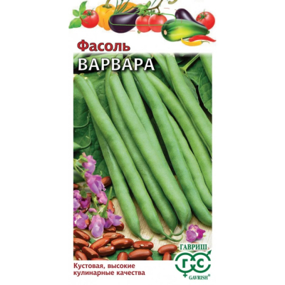 Изображение товара Семена Гавриш Фасоль Варвара, кустовая, зеленая, 5,0 г
