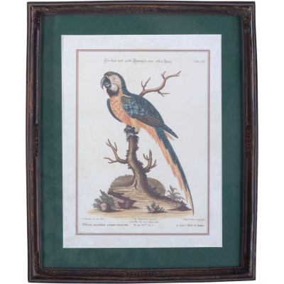 Изображение товара Панно настенное Glasar попугай, под старину, вертикальное 22х2х27 см