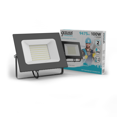 Изображение товара Прожектор Gauss Elementary 100W IP65 4000K для наружного освещения