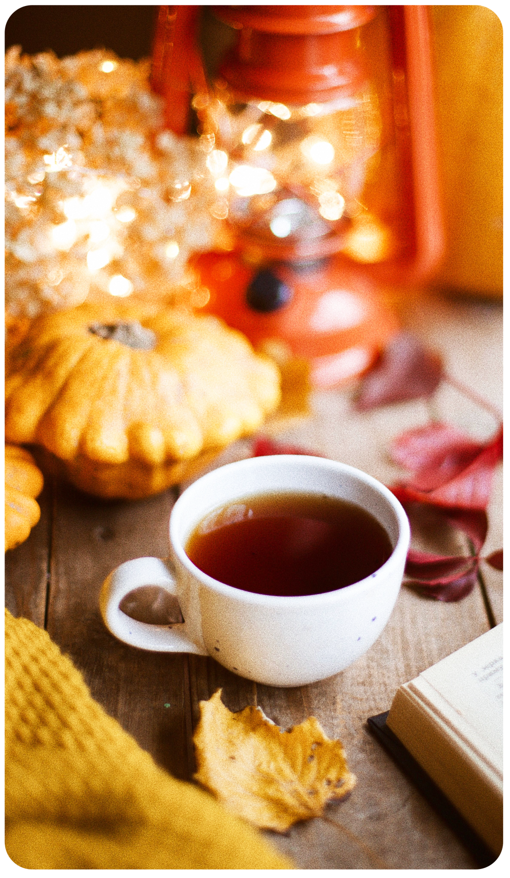 Уютная осень!