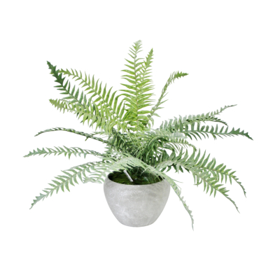 Изображение товара Папоротник искусственный Конэко-О в кашпо
