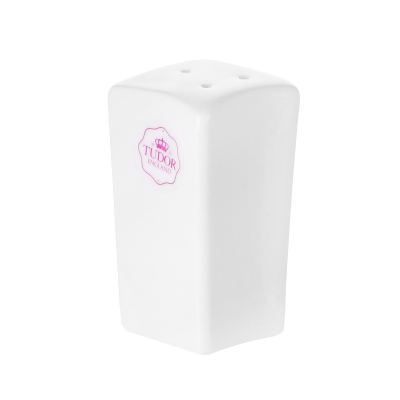 Изображение товара Солонка Tudor England Royal 4х4 см из твердых материалов для сервировки стола