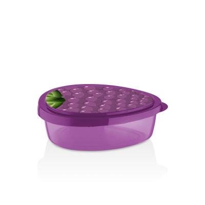 Изображение товара Контейнер Qlux ежевика 800 мл